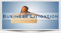 Business Litigation